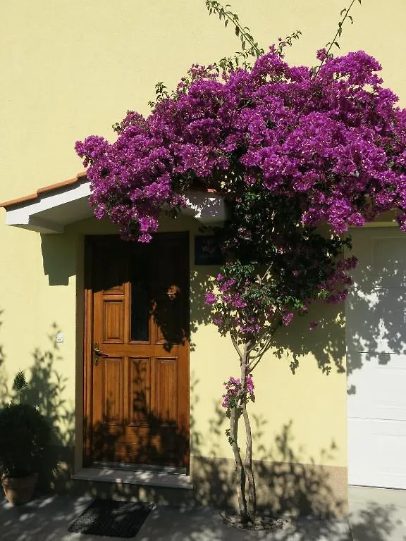 Apartments In Trogir